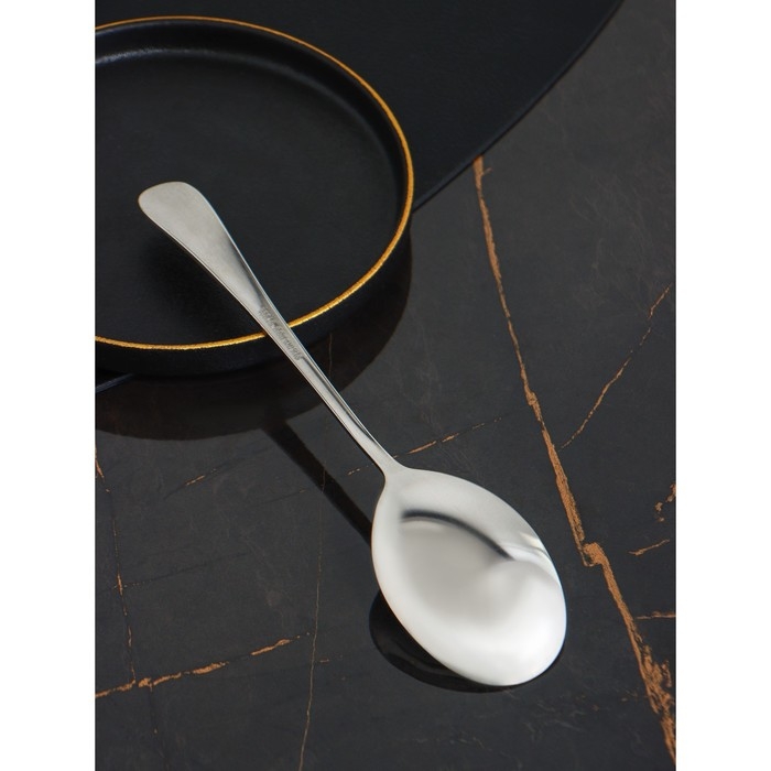 Ложка гарнирная из нержавеющей стали Доляна, h=22 см, толщина 2,2 мм, 410 сталь Ложка гарнирная из нержавеющей стали Доляна, h=22 см, толщина 2,2 мм, 410 сталь