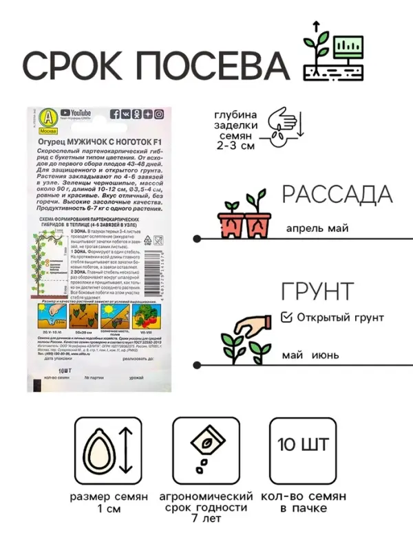 Семена Огурец Семена Огурец "Мужичок с ноготок" F1, среднеранний, партенокарпический, 10 шт
