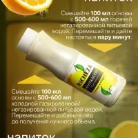 Концентрат RiCHEZA &laquo;Лимон-Имбирь&raquo;, 1000 г