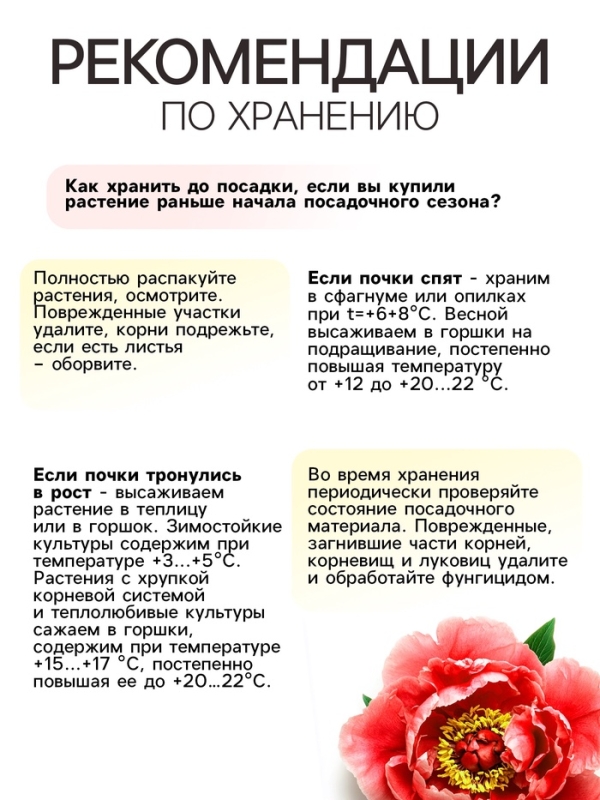 Пион Coral Charm, корневище в пакете с торфогрунтом, р-р 3/5, 1 шт. Пион Coral Charm, корневище в пакете с торфогрунтом, р-р 3/5, 1 шт.