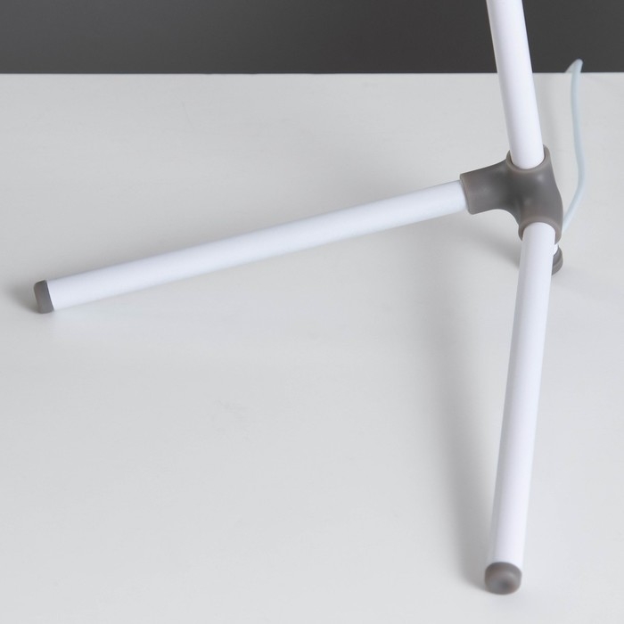 Настольная лампа "Эрудит" LED 5Вт белый 20х23х61 см RISALUX