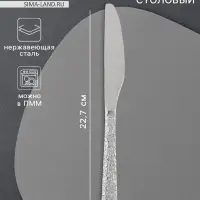 Нож столовый Magistro &laquo;Олин&raquo;, длина 22.7 см, нержавеющая сталь, серебристый