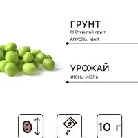 Семена Горох &laquo;Сахарный 2&raquo;, среднепоздний, 10 г, &laquo;Агроуспех&raquo;