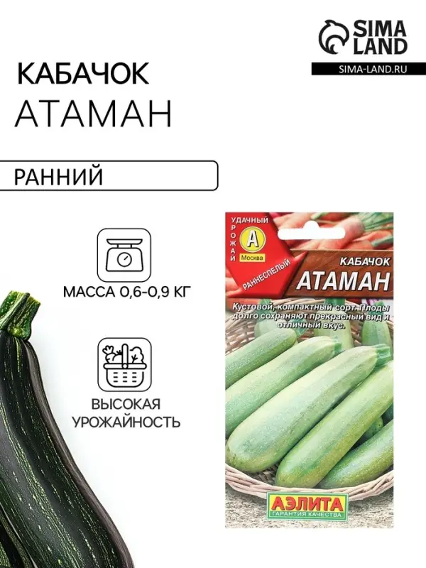 Семена Кабачок цуккини &laquo;Атаман&raquo;, 1 г, &laquo;Агрофирма АЭЛИТА&raquo;