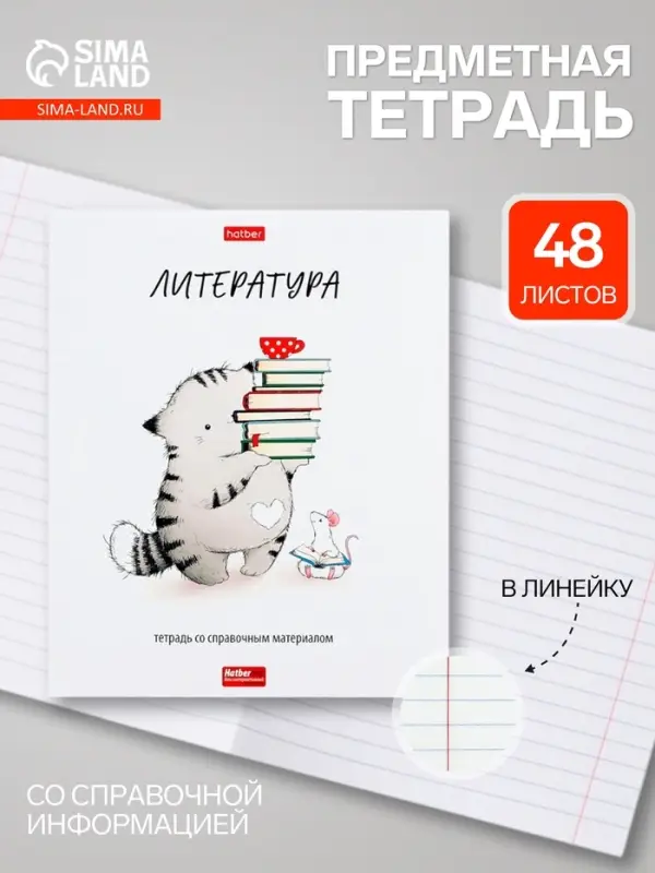 Предметная тетрадь по литературе Hatber &laquo;Приключения кота Пирожка&raquo;, 48 листов, в линейку, со справочным материалом, обложка из мелованной бумаг...