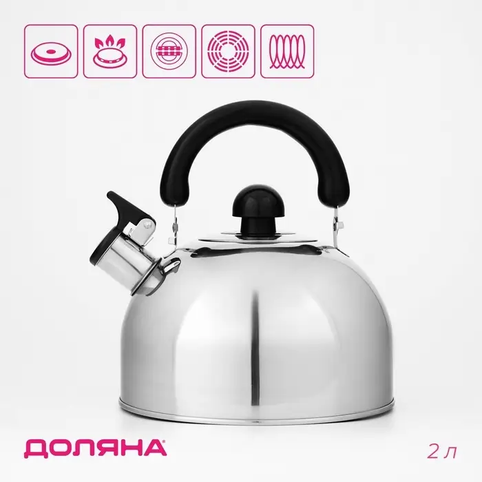 Чайник Доляна &laquo;Чёрная ночь&raquo;, 2 л, со свистком, индукция, нержавеющая сталь, хромированный