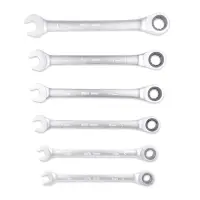 Набор ключей гаечных комбинированных трещоточных в пластике (8-19 мм) (11предметов) AVS K6N11P