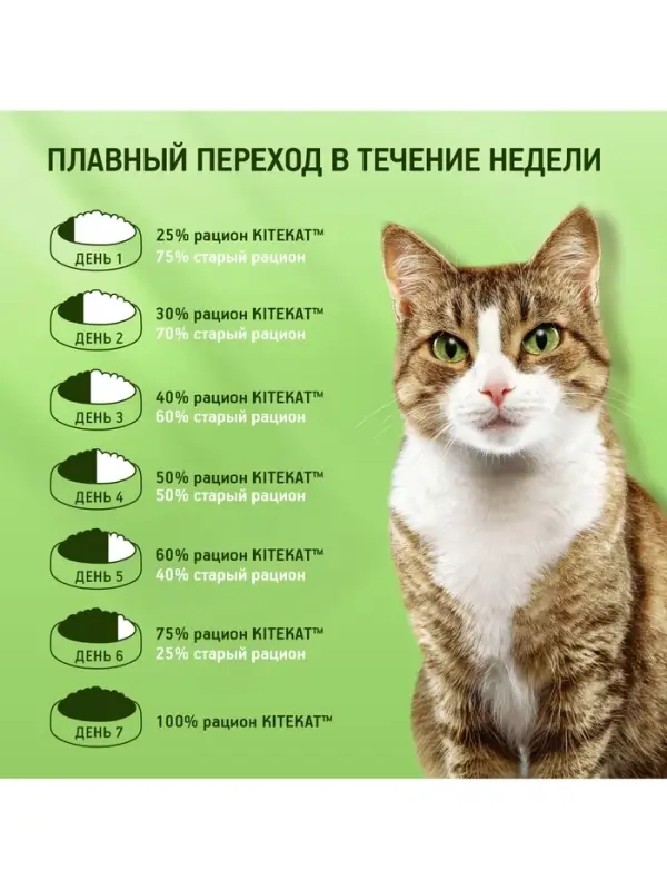 Сухой корм KiteKat &laquo;Мясной пир&raquo; для кошек, 15 кг