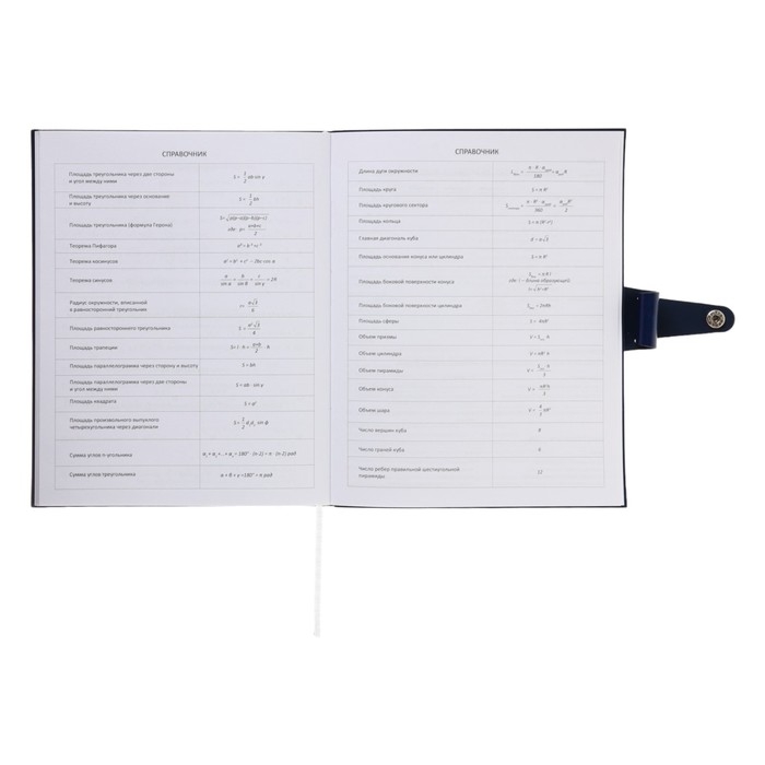 Дневник универсальный для 1-11 класса Favorite, мягкая обложка, на кнопке, искусственная кожа, тиснение фольгой, хлястик, ляссе, 48 листов