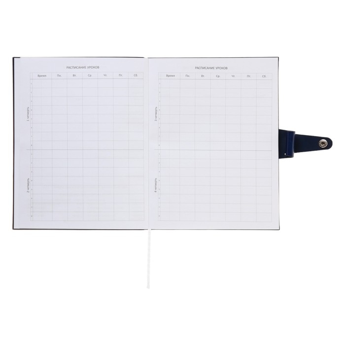 Дневник универсальный для 1-11 класса Favorite, мягкая обложка, на кнопке, искусственная кожа, тиснение фольгой, хлястик, ляссе, 48 листов