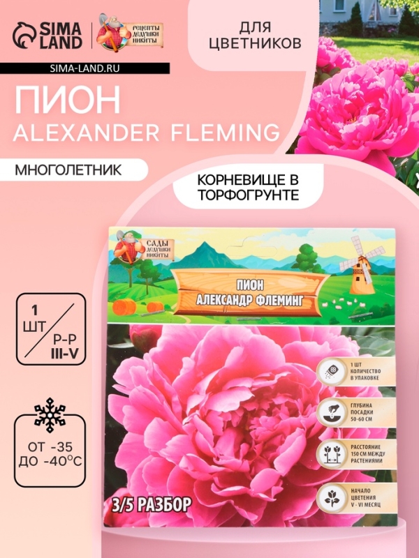 Пион Alexander Fleming, корневище в пакете с торфогрунтом, р-р 3/5, 1 шт. Пион Alexander Fleming, корневище в пакете с торфогрунтом, р-р 3/5, 1 шт.