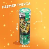 Пазл в тубусе &laquo;Великолепный лев&raquo;, 300 деталей