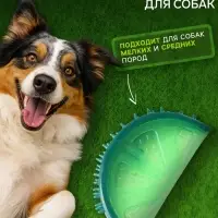 Игрушка охлаждающая для собак &laquo;Лайм&raquo;, 12.5 см, TPR