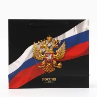 Пакет подарочный, упаковка, &laquo;Россия&raquo;, 32&times;26&times;12 см