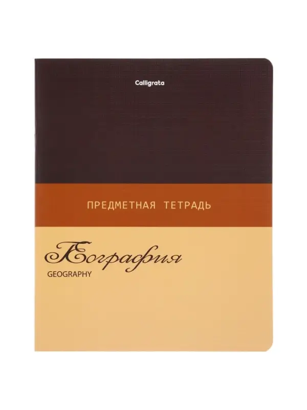 Комплект 12 предметных тетрадей 48 листов, справочная информация, 60гр, Стиль 2026