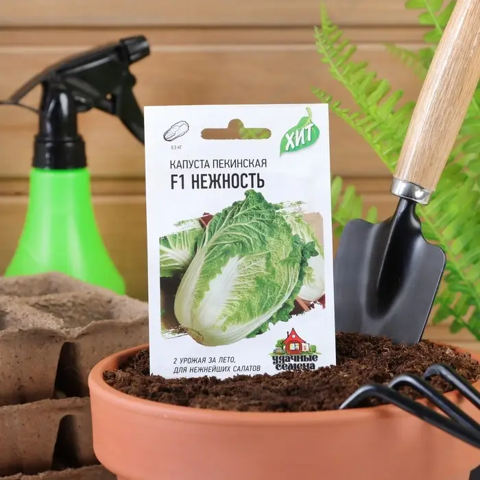 Семена Капуста пекинская  Семена Капуста пекинская "Нежность" F1, ц/п, 0,1 г  серия ХИТ х3