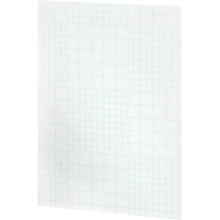 Карман настенный Выбор Есть, А4, на клеевой основе, 5шт\уп