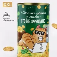 Копилка XXL &laquo;Фриланс&raquo;, 20&times;12.5 см