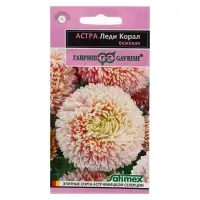 Набор семян Астра "Леди Корал бежевая", однолетняя, серия Эксклюзив, 5 шт. Набор семян Астра "Леди Корал бежевая", однолетняя, серия Эксклюзив, 5 шт.