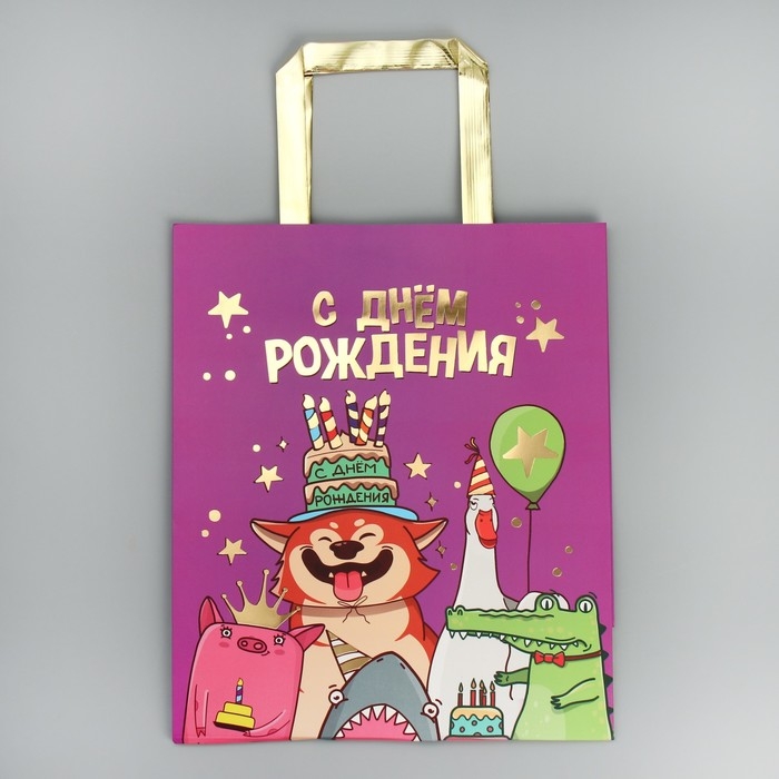 Пакет подарочный, упаковка, &laquo;С Днём рождения!&raquo;, ML 23 х 27 х 11.5 см