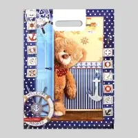 Пакет подарочный &laquo;Тедди&raquo;, полиэтиленовый с вырубной ручкой, 30&times;40 см, 60 мкм