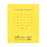 Тетрадь 12 л в линейку ЖЁЛТАЯ, пластиковая обложка, с алфавитом, блок офсет