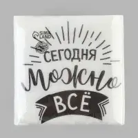 Салфетки бумажные однослойные &laquo;Сегодня можно всё&raquo;, 24&times;24 см, набор 100 шт.