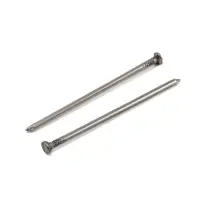 Гвозди ТУНДРА, строительные, ГОСТ 4028-63, без покрытия, 4&times;100 мм, 5 кг