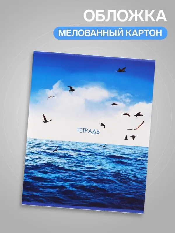Тетрадь 96 листов в линейку Calligrata &laquo;Морской пейзаж&raquo;, серые листы, МИКС