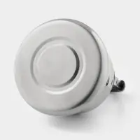 Чайник &laquo;Чайковский&raquo;, 3 л, нержавеющая сталь, хромированный