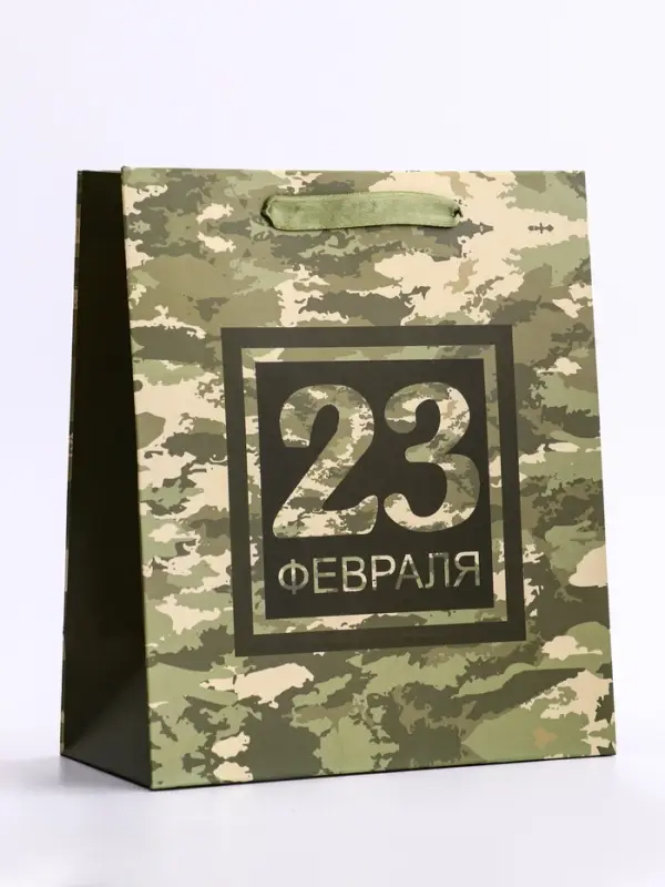 Пакет подарочный вертикальный &laquo;23 февраля&raquo;, ML 23&times;27&times;11.5 см