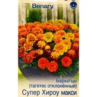 Семена цветов Бархатцы Супер хироу макси отклоненные, смесь сортов Спецсерия Benary, Ц/П,10 шт. 109 Семена цветов Бархатцы Супер хироу макси отклоненные, смесь сортов Спецсерия Benary, Ц/П,10 шт. 109