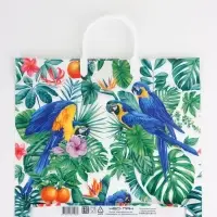 Пакет "Попугай, полиэтиленовый, пластиковая ручка 37х35 см 90 мкм Пакет "Попугай, полиэтиленовый, пластиковая ручка 37х35 см 90 мкм