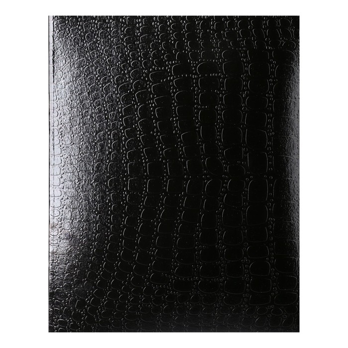 Тетрадь 48 листов в клетку Croco, бумвинил metallic, тиснение, блок офсет, чёрный Тетрадь 48 листов в клетку Croco, бумвинил metallic, тиснение, блок офсет, чёрный