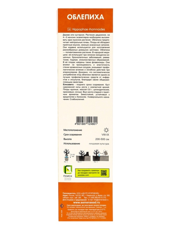 Саженец Облепиха «Елизавета », плодовый, 1 шт., туба Саженец Облепиха «Елизавета », плодовый, 1 шт., туба