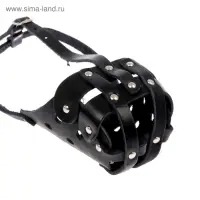 Намордник кожаный цельнокроенный, питбультерьер, ДН 8 см, ОМ 30 см, чёрный