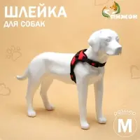 Шлейка К7, размер М, ОГ 52-66 см, вес 9.5-17.5 кг, мягкая, светоотражающая, красная
