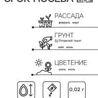 Семена цветов Примула "Ушковая", смесь окрасок, Мн, 0,02 г