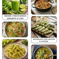 Семена Сельдерей &laquo;черешковый Атлант&raquo;, 0.5 г, &laquo;Рецепты дедушки Никиты&raquo;