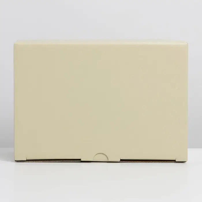 Коробка подарочная складная, упаковка, «Бежевая», 22 х 15 х 10 см Коробка подарочная складная, упаковка, «Бежевая», 22 х 15 х 10 см