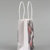 Пакет подарочный &laquo;Мужской&raquo;, 10&times;15&times;6 см