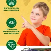 Пазл &laquo;Древний мир&raquo;, 80 деталей