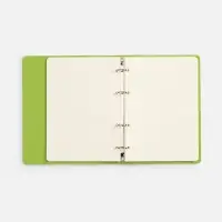 Ежедневник Ringo, недатированный, зеленый Ежедневник Ringo, недатированный, зеленый