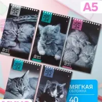 Блокнот &laquo;Альт. Кошки&raquo;, А5, 40 листов, на гребне, МИКС