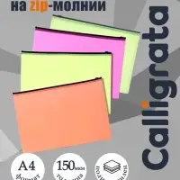 Набор папок-конверт на ZIP-молнии А4 Calligrata &laquo;Неон&raquo;, 150 мкм, 4 штуки, МИКС