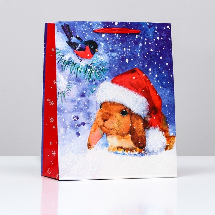 Пакет подарочный "Зайка в шапке" , 26 х 32 х 12 см.