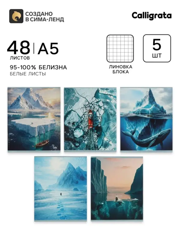 Тетрадь 5 штук, 48 листов в клетку Calligrata &laquo;Антарктида&raquo;, блок офсет, 5 видов