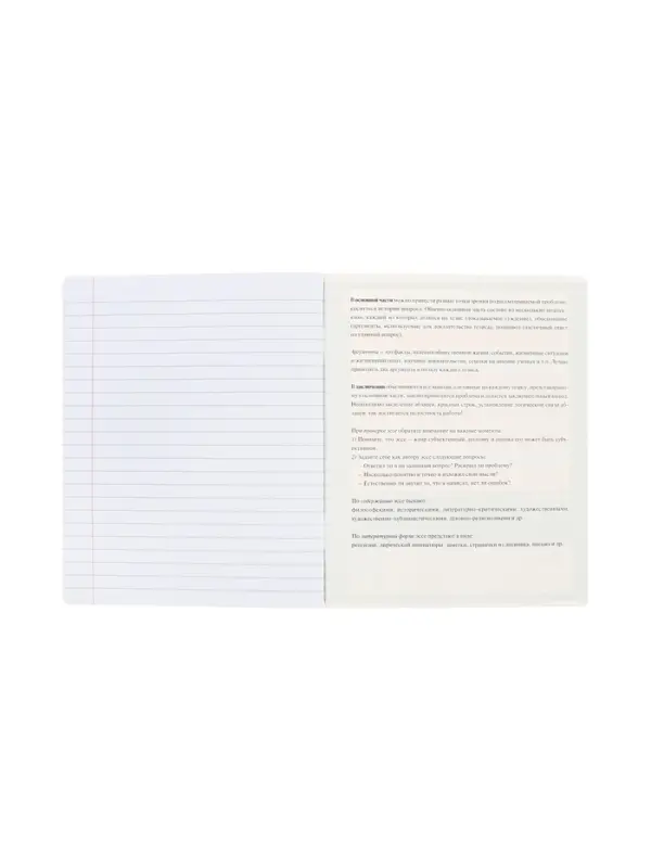 Тетрадь 48 листов в линию «Буквица» для сочинений, белые листы Тетрадь 48 листов в линию «Буквица» для сочинений, белые листы