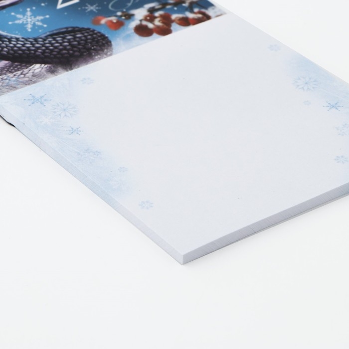 Магнит новогодний с блоком для записей «Новый год: Успешного 2025 года«Новый год: , 8 х 14 см Магнит новогодний с блоком для записей «Новый год: Успешного 2025 года«Новый год: , 8 х 14 см