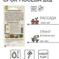 Набор семян Огурец &laquo;Крокодил Гена&raquo;, F1, ультраранний, партенокарпический, 5 пакетиков, &laquo;Аэлита&raquo;
